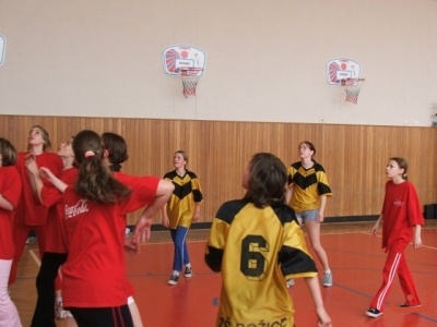 OPbasketzakyne