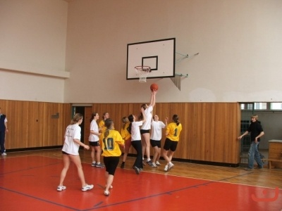 OPbasketzakyne