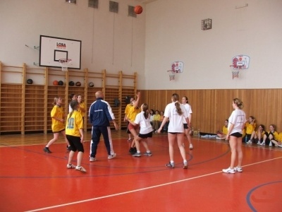 OPbasketzakyne