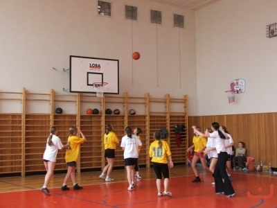 OPbasketzakyne