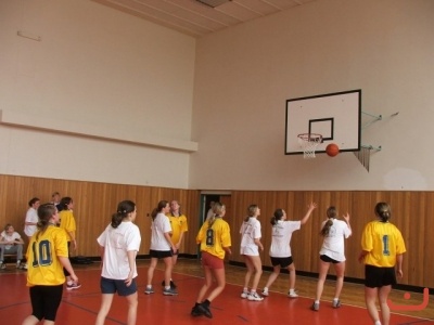 OPbasketzakyne