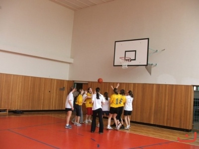 OPbasketzakyne