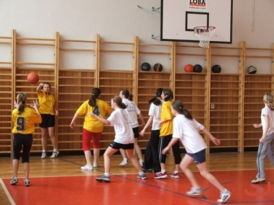 OPbasketzakyne