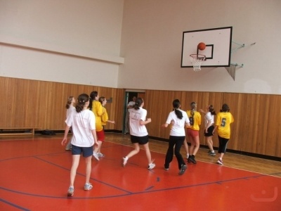 OPbasketzakyne