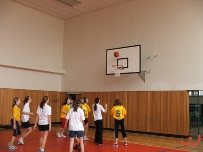 OPbasketzakyne