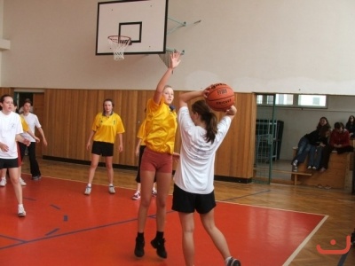 OPbasketzakyne