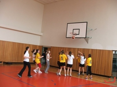 OPbasketzakyne
