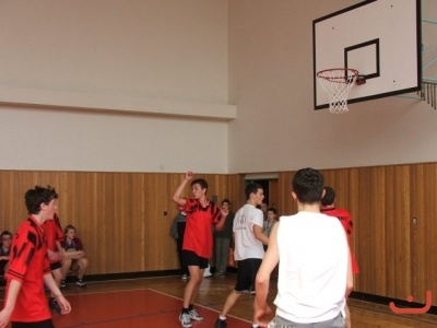 OPbasketzaci