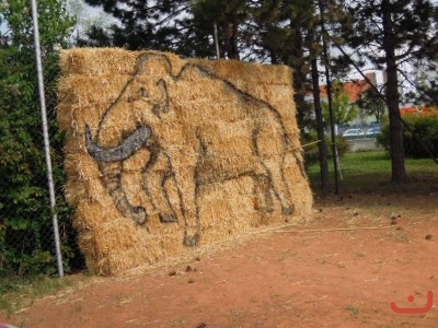 Montessori Den Země