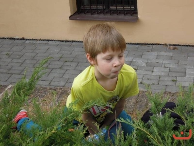 Montessori Den Země