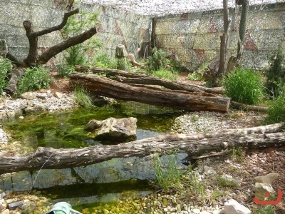 5.A - spaní ve škole, Permonium