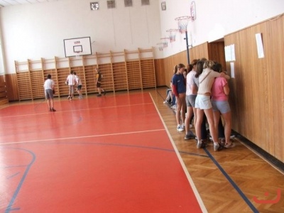 puleniskroku