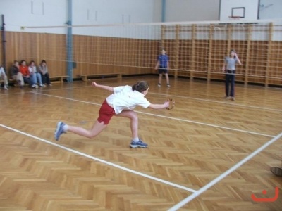 puleniskroku