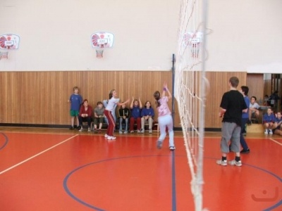 puleniskroku