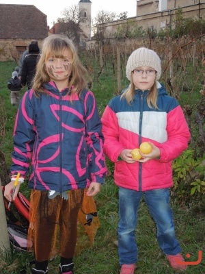 dynovastezka_14