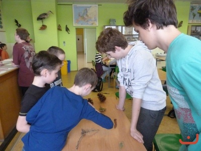 Ekodílničky