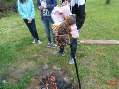 Ekologický kroužek