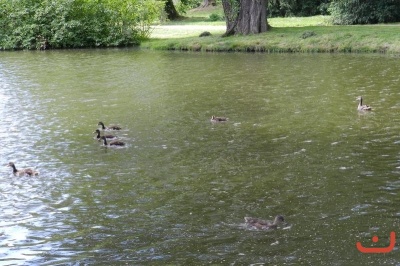 Škola v přírodě 2.A, 2.B