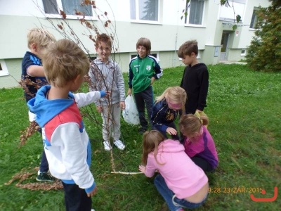 Montessori15-16 1.pololeti