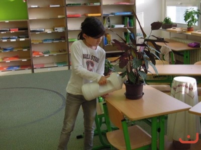 Montessori15-16 1.pololeti
