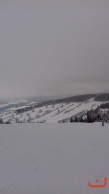 LVK 7. třídy