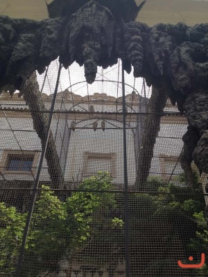 Praha9A_43