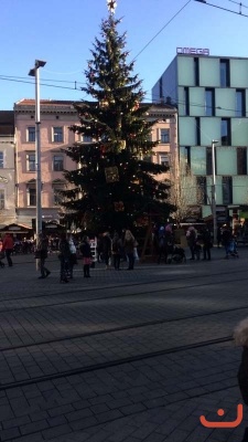 vanocni_brno_6