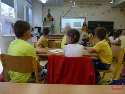 Den proti rakovine_13