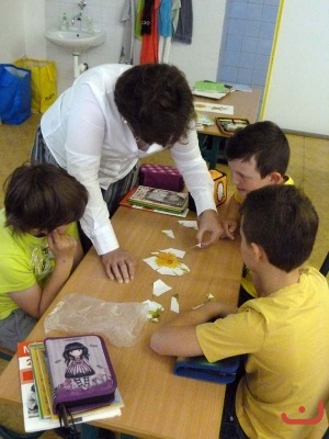 Den proti rakovine_21