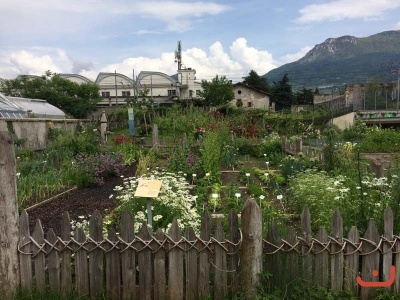 Trento_93
