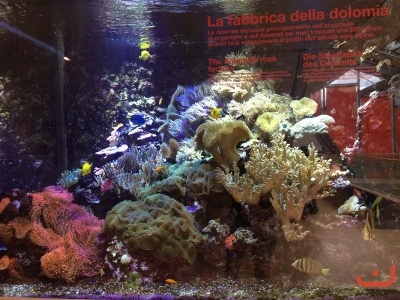 Trento_105