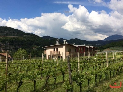 Trento_234