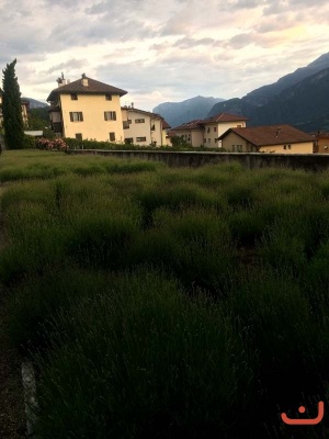 Trento_249