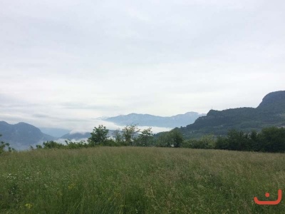 Trento_256