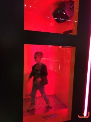 Vida_29