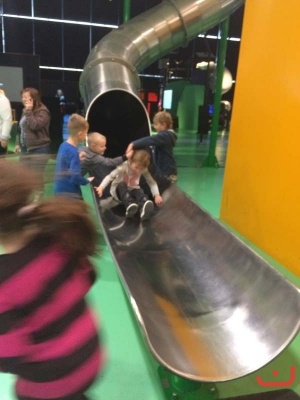Vida_81