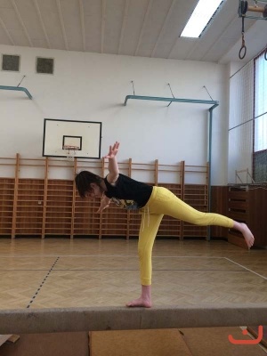 gymnastika_8
